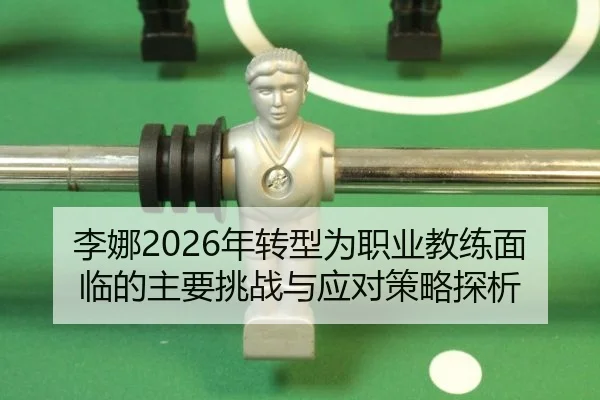li-na-nian-zhuan-xing-wei-zhi-ye-jiao-lian-mian-lin-de-zhu-yao-tiao-zhan-yu-ying-dui-ce-lve-tan-xi-2-215.jpg